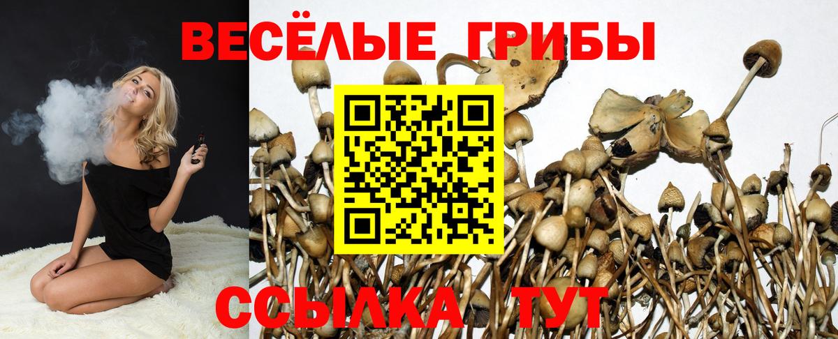 Новотроицк  Псилоцибиновые грибы мицелий  продажа наркотиков  Вход с VPN 